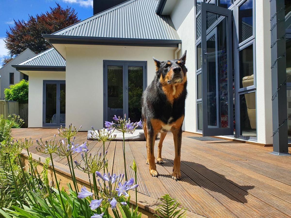 Christchurch Airport House Экстерьер фото